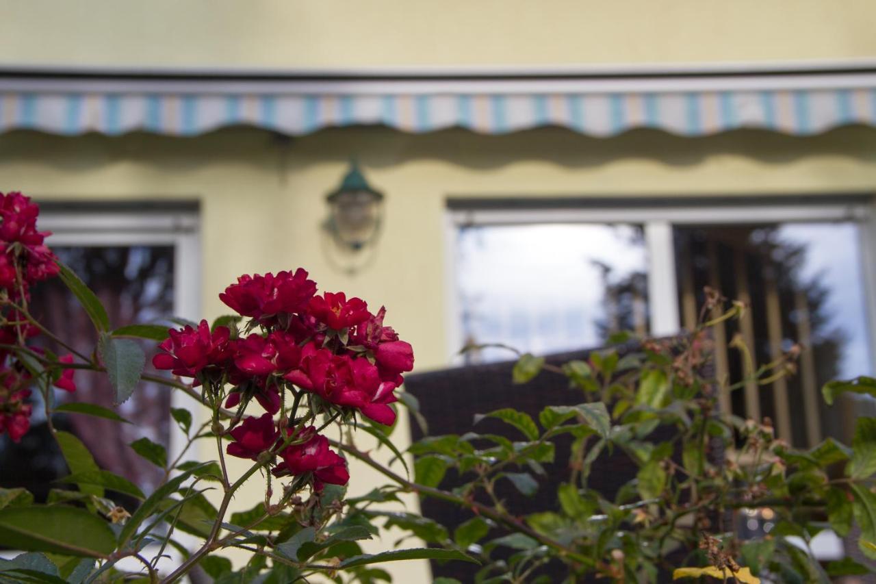Ferienhaus Bogsi Müllrose Kültér fotó