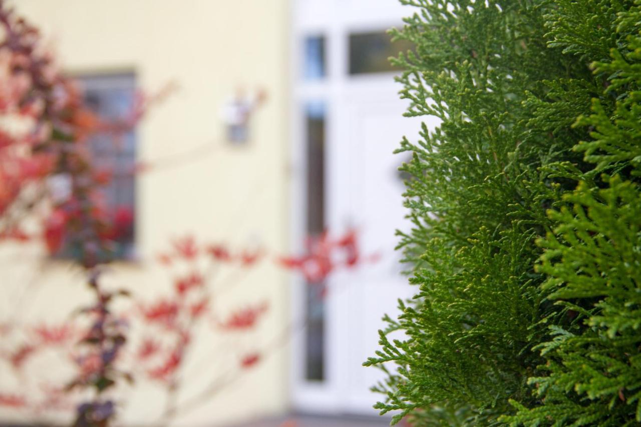 Ferienhaus Bogsi Müllrose Kültér fotó